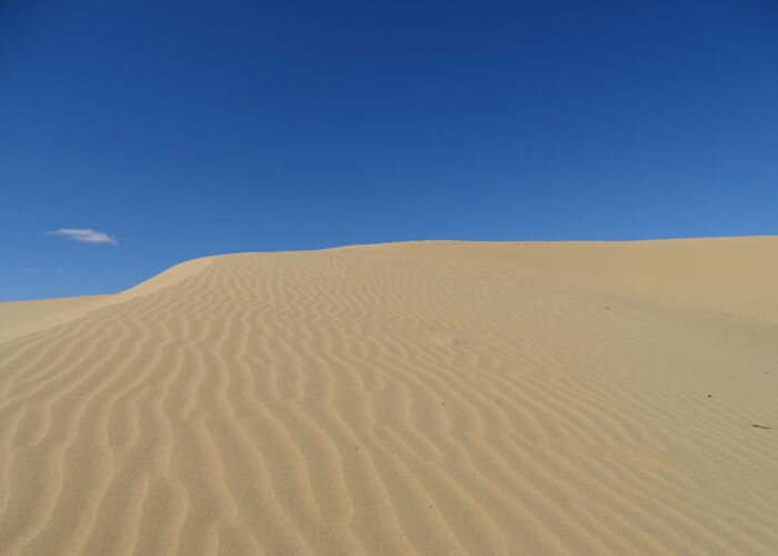 Endlose Sanddünen beherrschen das Landschaftsbild auf unserer Wanderreise in der Mongolei durch die Wüste Gobi.