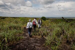 Die Expedition nach Kolumbien beinhaltet einige längere Wanderungen mit wunderschönen Naturerlebnissen.