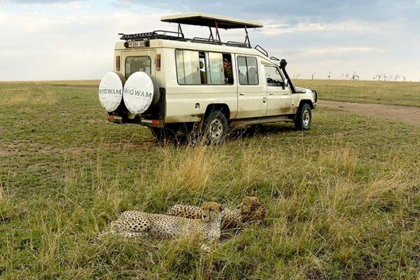 Wildtierbeobachtung in der weiten Savannenlandschaft der Serengeti