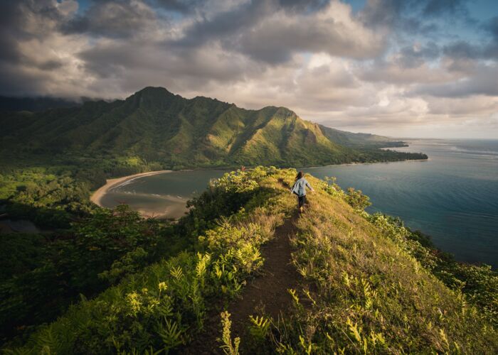 Bei geführten Wandertouren entdecken wir Hawaii hautnah