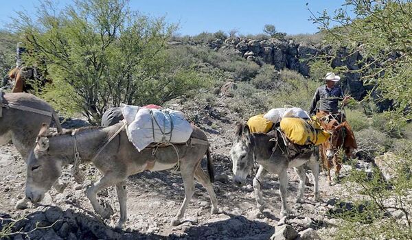 In Begleitung von Rancheros durch die Sierra de San Francisco