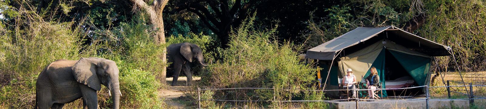 Bei der Rundreise durch Zambia übernachten wir in schönen Tented-Camps an Flussufern