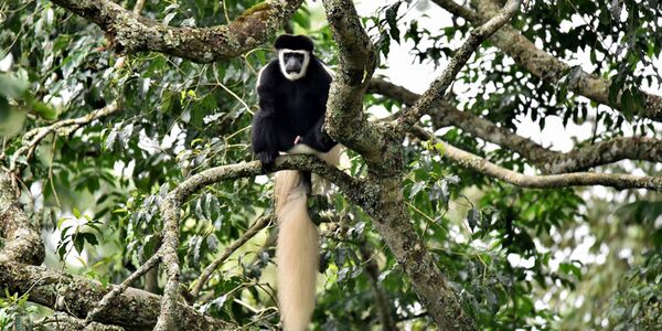 Unterwegs mit einer Kleingruppe im Norden Tanzanias