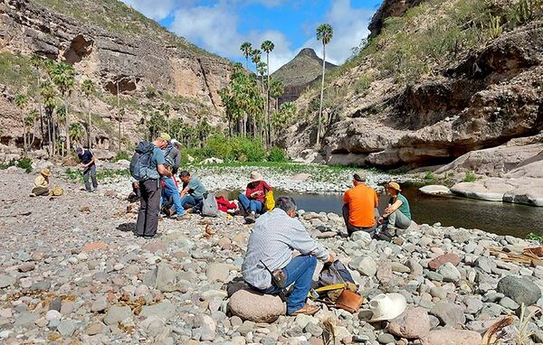 Trekking und Naturerlebnis auf der Baja California