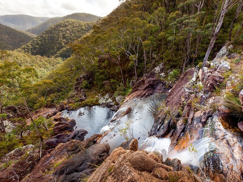 Das einzigartige Ökosystem in den Nationalparks in Australien wird von verschiedenen Organisationen geschützt.