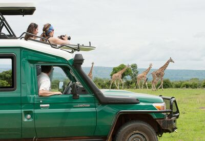Bei einer Jeep-Safari durch den Murchison Falls Nationalpark auf Tierbeobachtung
