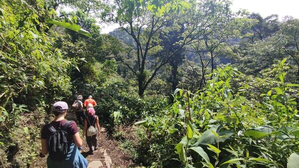 Der Nebelwald Monteverde ist ein beliebtes Ziel in Costa Rica für Naturliebhaber.