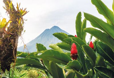 Inmitten der grünen Vegetation Costa Ricas stehen große Vulkane