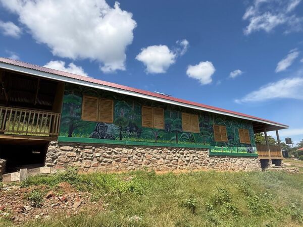 Die Aussenwand des Schulgebäudes auf Buvuma Island zeigt nun Gorillas im Regenwald und das WIGWAM Logo