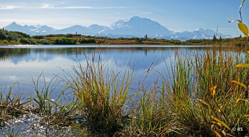 Das Bergmassiv des Mount Denali in voller Schönheit.