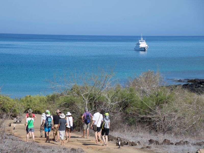 Galapagos Inselhopping - Kreuzfahrt, Wanderungen und Tierbeobachtungen