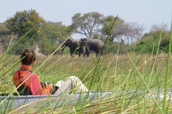 Im Okavango Delta kommen wir den Big Five Riesen vor allem mit dem Boot ganz nah