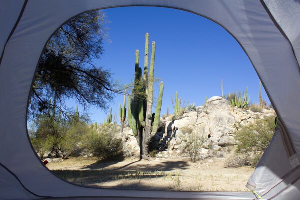 Während der WIGWAM Zeltreise erleben wir hautnah die Natur auf der Baja California.