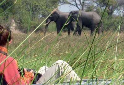 Bei der Safari in Botswana unternehmen wir per Kanu eine Tierbeobachtungssafari