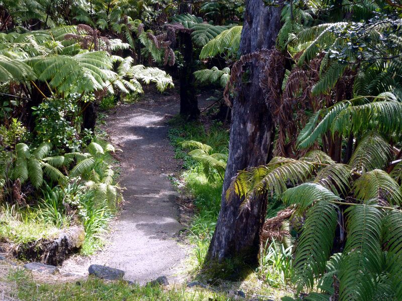 Wanderung durch den Volcano Nationalpark während unserer Zeltreise auf der Großen Insel von Hawaii.