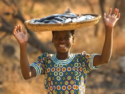 Am Malawi-See verkaufen die Einheimischen frischen Fisch aus dem See
