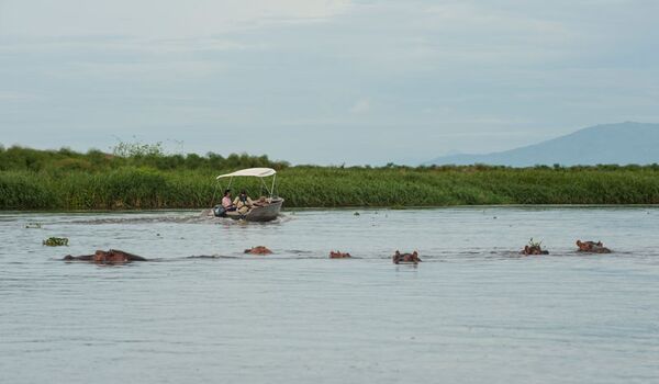 Bootstour auf der Gruppenreise durch den Murchison Falls Nationalpark