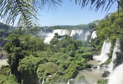 Wanderung und Besichtigung der Iguazu Wassefälle von Brasilien