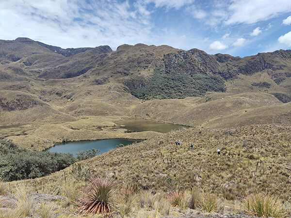 Einsame Stille und Natur pur erleben wir bei einer Wanderung im Cajas Nationalpark in Ecuador.