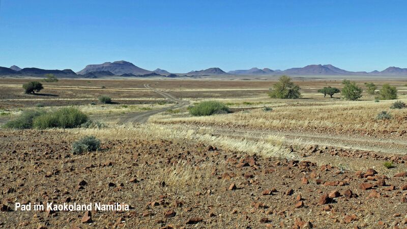 Unsere Route führt uns durch das landschaftlich eindrucksvolle Kaokoland in Namibia