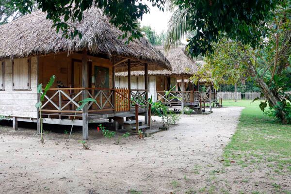 Mit Guides von der Lodge unternehmen wir Tierbeobachtungen im Amazonas Guyanas