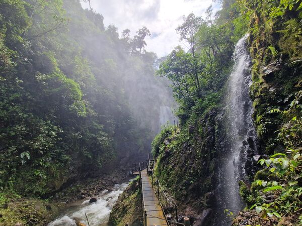 Wir erleben tolle Wanderungen entlang idyllischer Wasserfälle im Nebelwald Monteverde in Costa Rica.