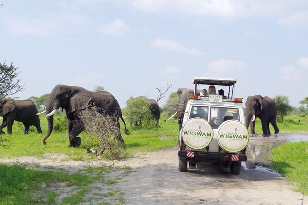 Einer der besten Orte für eine Safari in Tanzania ist der Katavi Nationalpark