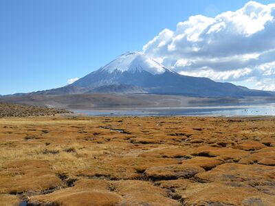 Bei der Chile Reise durchqueren wir das chilenische Altiplano mit aktiven Vulkanen