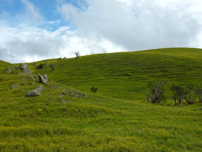 Eine unserer Wanderungen während unserer Zeltreise führt uns durch die Kohala Mountains auf Hawaii.